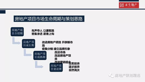 地产策划养成记 项目品牌策划、项目策划与公关服务的融合之道