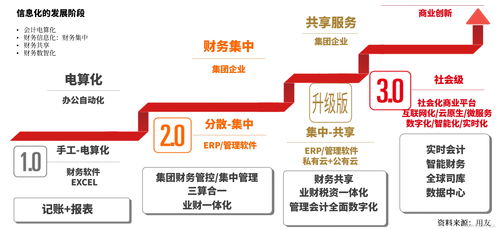 企业级BI应用与实践 以用友ERP NC系列产品为例的项目策划与公关服务
